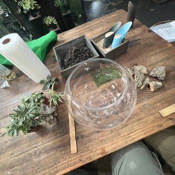 Energy Gardens Terrariums - Nurseries & Gardening Near Me - Dallas, Texas Energy Gardens Terrariums - Nurseries & Gardening Near Me - Dallas, Texas