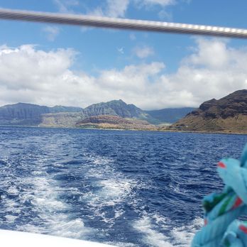 Ocean Joy Cruises - The captain knew just where to go for dolphins and turtles. Lots of both on this amazing April 1st! - Tours Near Me - Kapolei, Hawaii Ocean Joy Cruises - The captain knew just where to go for dolphins and turtles. Lots of both on this amazing April 1st! - Tours Near Me - Kapolei, Hawaii