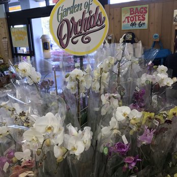 Trader Joe's - Grocery Near Me - Rancho Palos Verdes, California