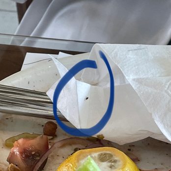 Psomi - Gnat - Bakeries Near Me - Tampa, Florida
