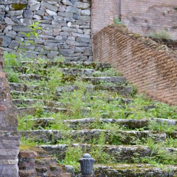Palatino - Landmarks & Historical Buildings Near Me - Rome, RM Palatino - Landmarks & Historical Buildings Near Me - Rome, RM