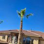 Photo of Etc Tree Services