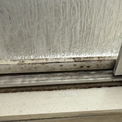 Holiday Inn Express & Suites Jackson Northeast - Mold farm... don't believe me? Zoom in!