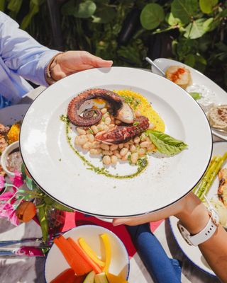 Meet Dalia - Mediterranean restaurant in Miami Beach by null