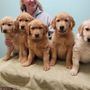 Valley View Veterinary Hospital