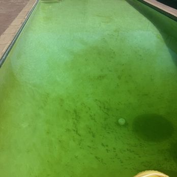 Bravo's Pool Services - Pool Cleaners Near Me