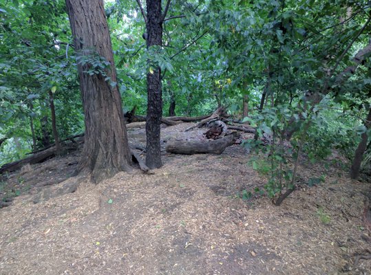 Hallett Nature Sanctuary by null