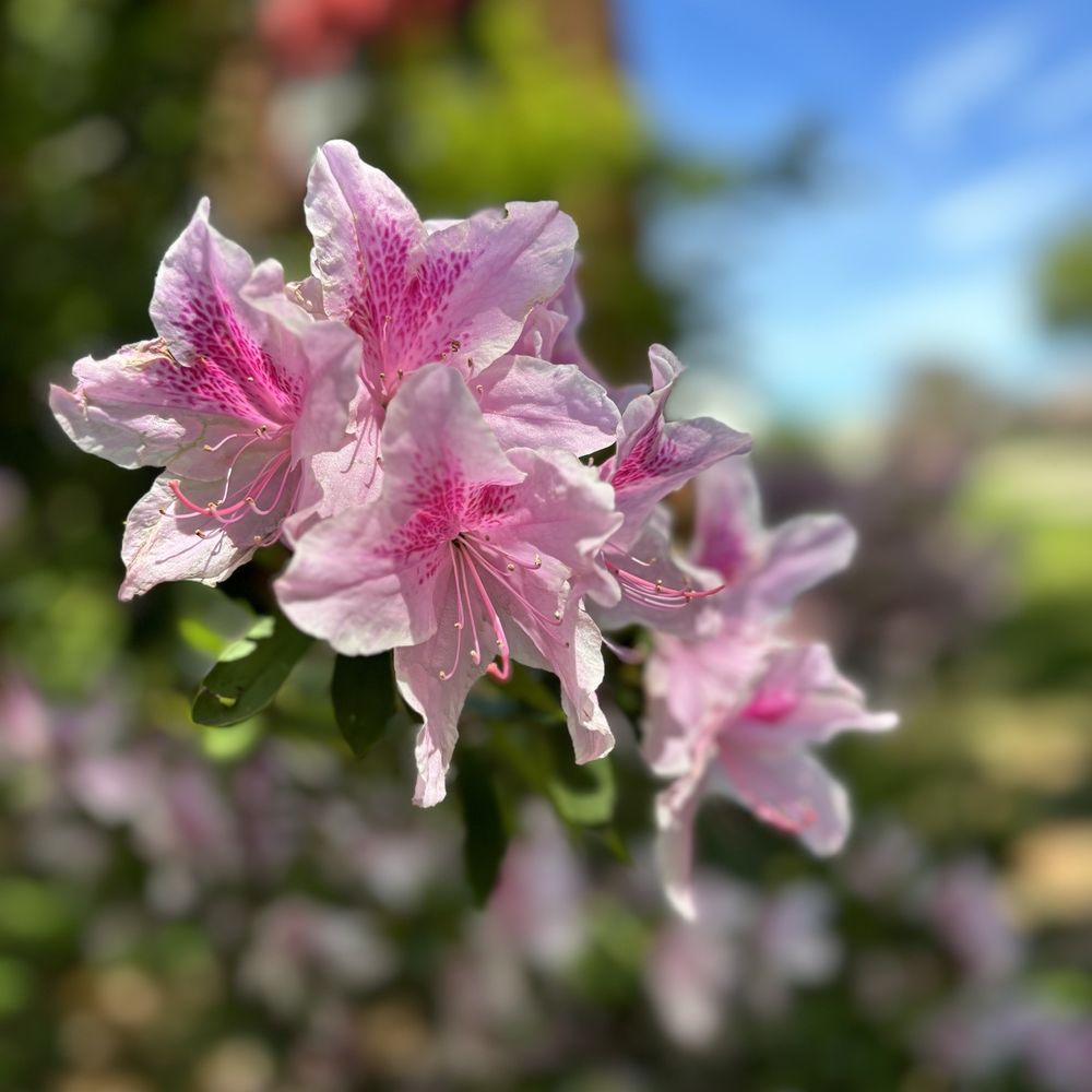 NANA TOP 10 BEST Art Supplies near Picayune, MS - Updated 2025 - Yelp