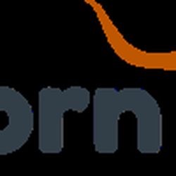 Longhorn Drain Company