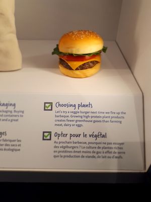 Canadian Museum of Nature / Musée canadien de la nature by null