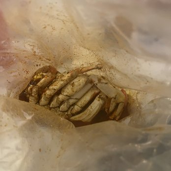 Kickin KAsian - Dungeness Crab Clusters 1 lb - Seafood Near Me - Northridge, California