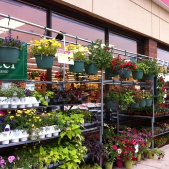 Jewel-Osco - There are some very nice hanging plants here for $10!! - Grocery Near Me - Schaumburg, Illinois Jewel-Osco - There are some very nice hanging plants here for $10!! - Grocery Near Me - Schaumburg, Illinois