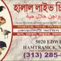 Photo of Halal Live Chicken