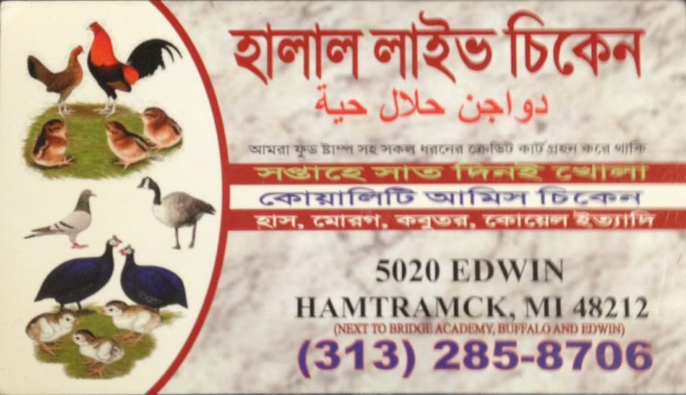HALAL LIVE CHICKEN Updated October 2024 5020 Edwin St, Hamtramck