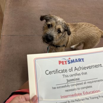 PetSmart - Jasmine and her diploma. - Pet Stores Near Me - Encinitas, California PetSmart - Jasmine and her diploma. - Pet Stores Near Me - Encinitas, California