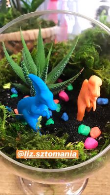Ephemera - Plants, Terrariums and Comics by null