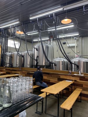 Little Fish Brewing Company by null