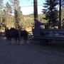 Photo of Rider Ranch