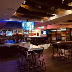 Scout Dallas - Interior