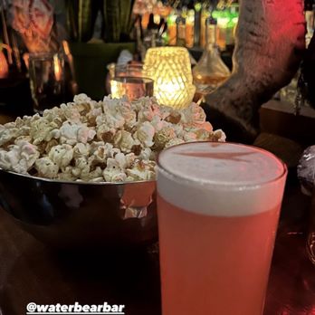 Water Bear Bar - Sloe gin fizz cocktail and seasonal popcorn! - Cocktail Bars Near Me - Boise, Idaho