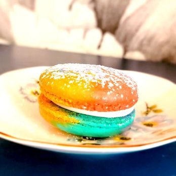 The Modern Rose - Mermaid Macaron - Coffee & Tea Near Me - Deerfield Beach, Florida The Modern Rose - Mermaid Macaron - Coffee & Tea Near Me - Deerfield Beach, Florida