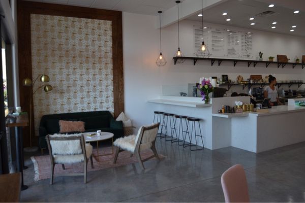 Toast Society Cafe by null