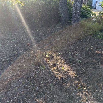 jjj tree services - Clean up of Landscape - Tree Services Near Me - Newport, Oregon jjj tree services - Clean up of Landscape - Tree Services Near Me - Newport, Oregon