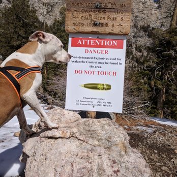 Trail Canyon Trail - Do not touch the explosives - Hiking Near Me - Las Vegas, Nevada Trail Canyon Trail - Do not touch the explosives - Hiking Near Me - Las Vegas, Nevada