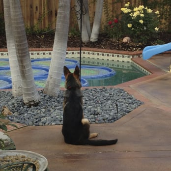 Diamond Oaks Ranch - Protecting the yard - Pet Sitting Near Me - Murrieta, California