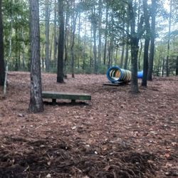 Surf City Bark Park - Looking forward from the back corner