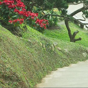 Norton Landscaping - a bench on the side of a hill - Landscaping Near Me