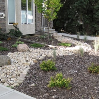 Aden Landscaping - a garden with rocks and plants - Landscaping Near Me - Seattle, Washington