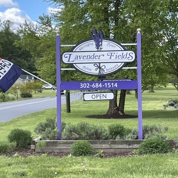 Lavender Fields - Lavender Fields - Nurseries & Gardening Near Me - Milton, Delaware