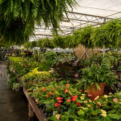 Bartlett's Farm - Bartletts garden center