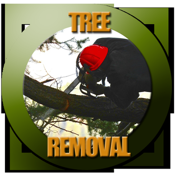 Tree Service Fort Worth - Tree Services Near Me - Fort Worth, Texas Tree Service Fort Worth - Tree Services Near Me - Fort Worth, Texas