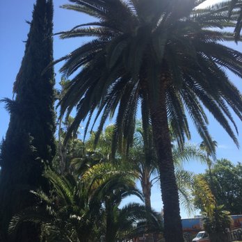 Tower Cafe - Walking in - Breakfast & Brunch Near Me - Sacramento, California Tower Cafe - Walking in - Breakfast & Brunch Near Me - Sacramento, California