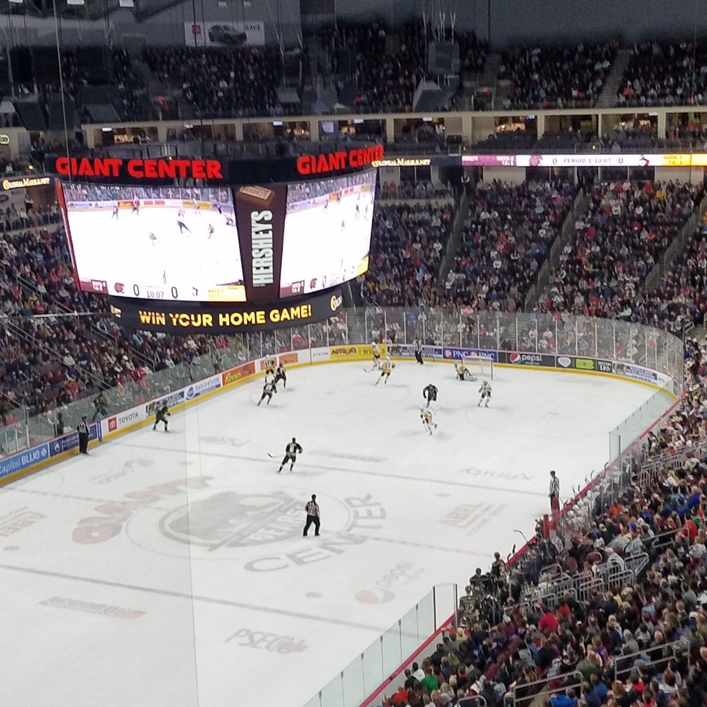 Hershey Bears - Professional Sports Teams Near Me - Hershey, Pennsylvania