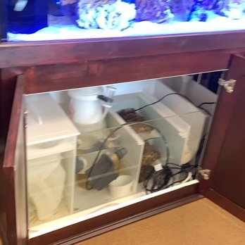 All About Fish - Custom refugium - Aquarium Services Near Me - Houston, Texas All About Fish - Custom refugium - Aquarium Services Near Me - Houston, Texas
