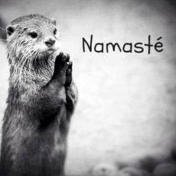 Beth A Wolfe Yoga - Drop In Yoga Classes - Yoga Near Me - Alexandria, Virginia Beth A Wolfe Yoga - Drop In Yoga Classes - Yoga Near Me - Alexandria, Virginia