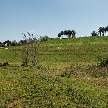Celery Fields - Hiking Near Me - Sarasota, Florida