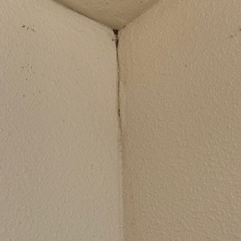 Option One Plumbing - Stains on ceiling. But they couldn't find the leak. - Plumbing Near Me - Rancho Cucamonga, California Option One Plumbing - Stains on ceiling. But they couldn't find the leak. - Plumbing Near Me - Rancho Cucamonga, California