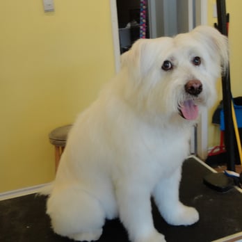 Purrfect Paws Boutique - After! - Pet Stores Near Me - Calgary, Alberta Purrfect Paws Boutique - After! - Pet Stores Near Me - Calgary, Alberta