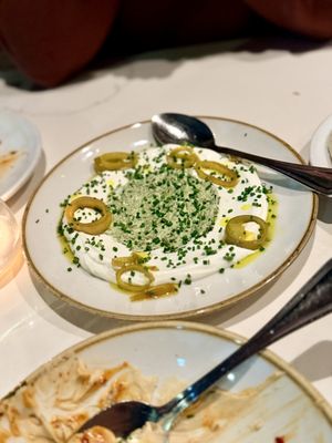 Shalom Y'all by null