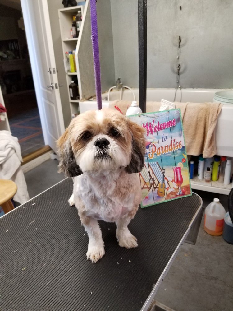 SANDI’S CUSTOM CLIP Updated October 2024 11 Photos 895 Robinson