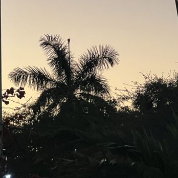 Midnight Tavern - Sunset - Bars Near Me - Naples, Florida Midnight Tavern - Sunset - Bars Near Me - Naples, Florida