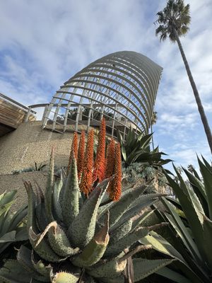Tongva Park by null