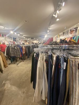 The Red Kat Vintage by null