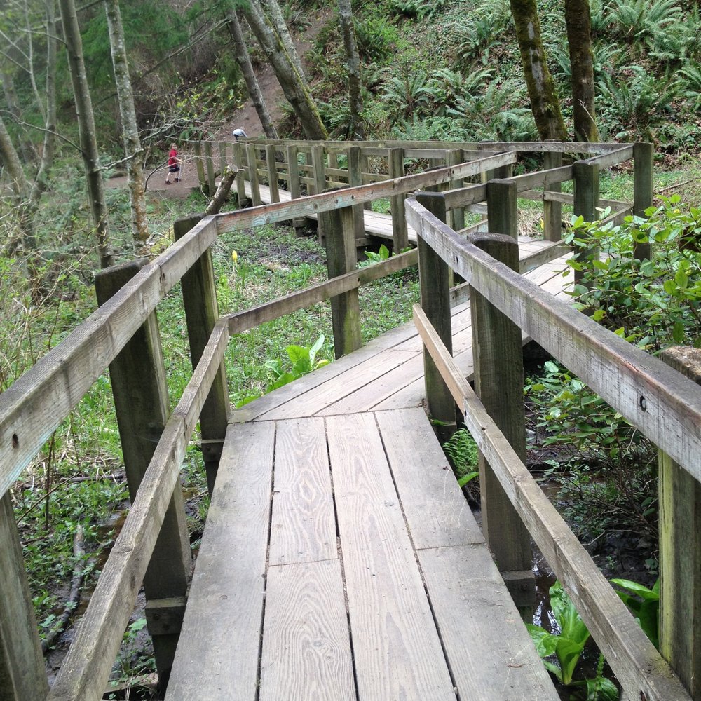 Burfoot Park - Boardwalk on the trail to the beach - Parks Near Me - Olympia, Washington Burfoot Park - Boardwalk on the trail to the beach - Parks Near Me - Olympia, Washington