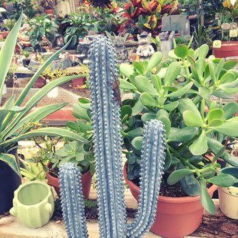 Wolf Trap Nursery - Nurseries & Gardening Near Me - Vienna, Virginia