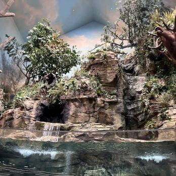 Bass Pro Shops - Indoor - Accessories Near Me - Irvine, California